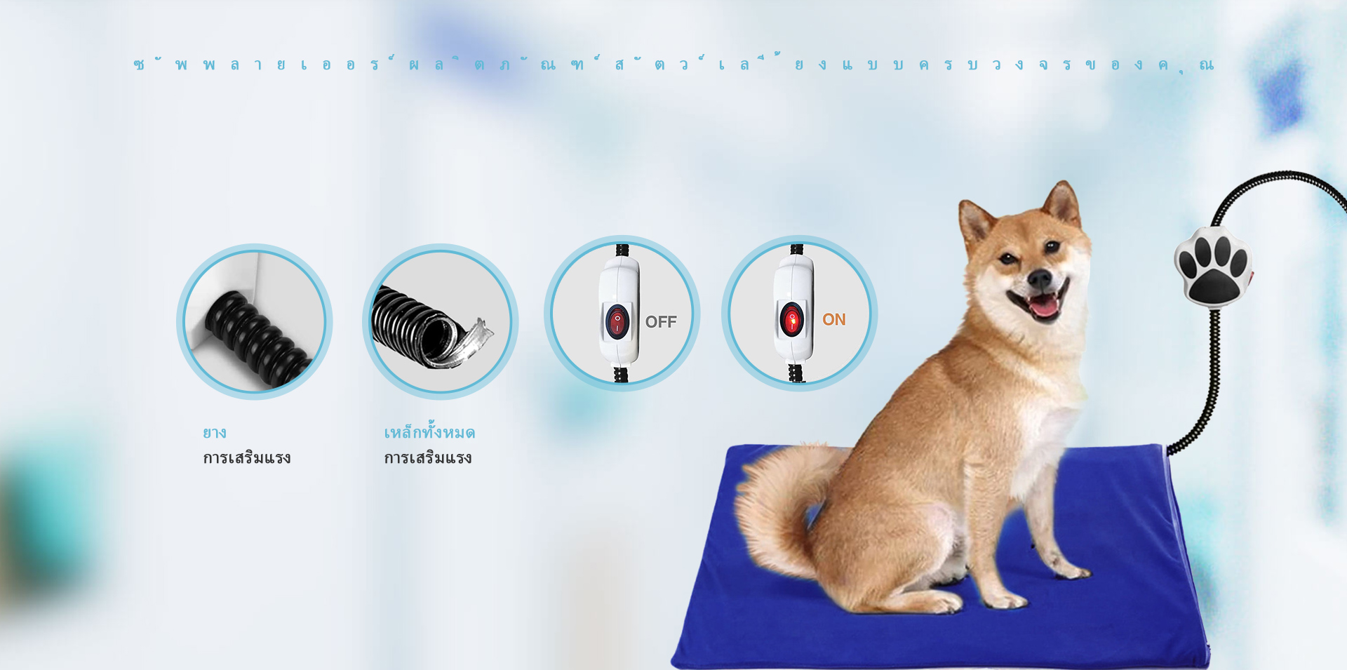 Max Pet Company’s Pet Accessories